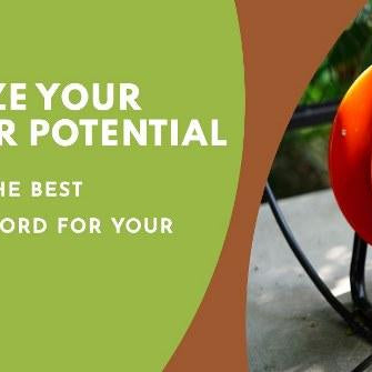Maximize Your Outdoor Potential: Selecting The Best Extension Cord For Your Backyard